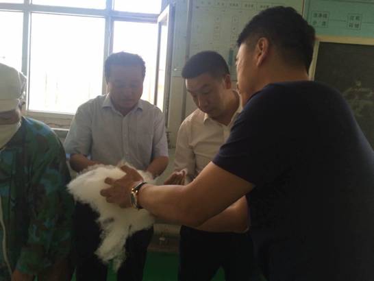 協(xié)會(huì)領(lǐng)導(dǎo)一行走訪(fǎng)企業(yè)開(kāi)展調(diào)研活動(dòng)