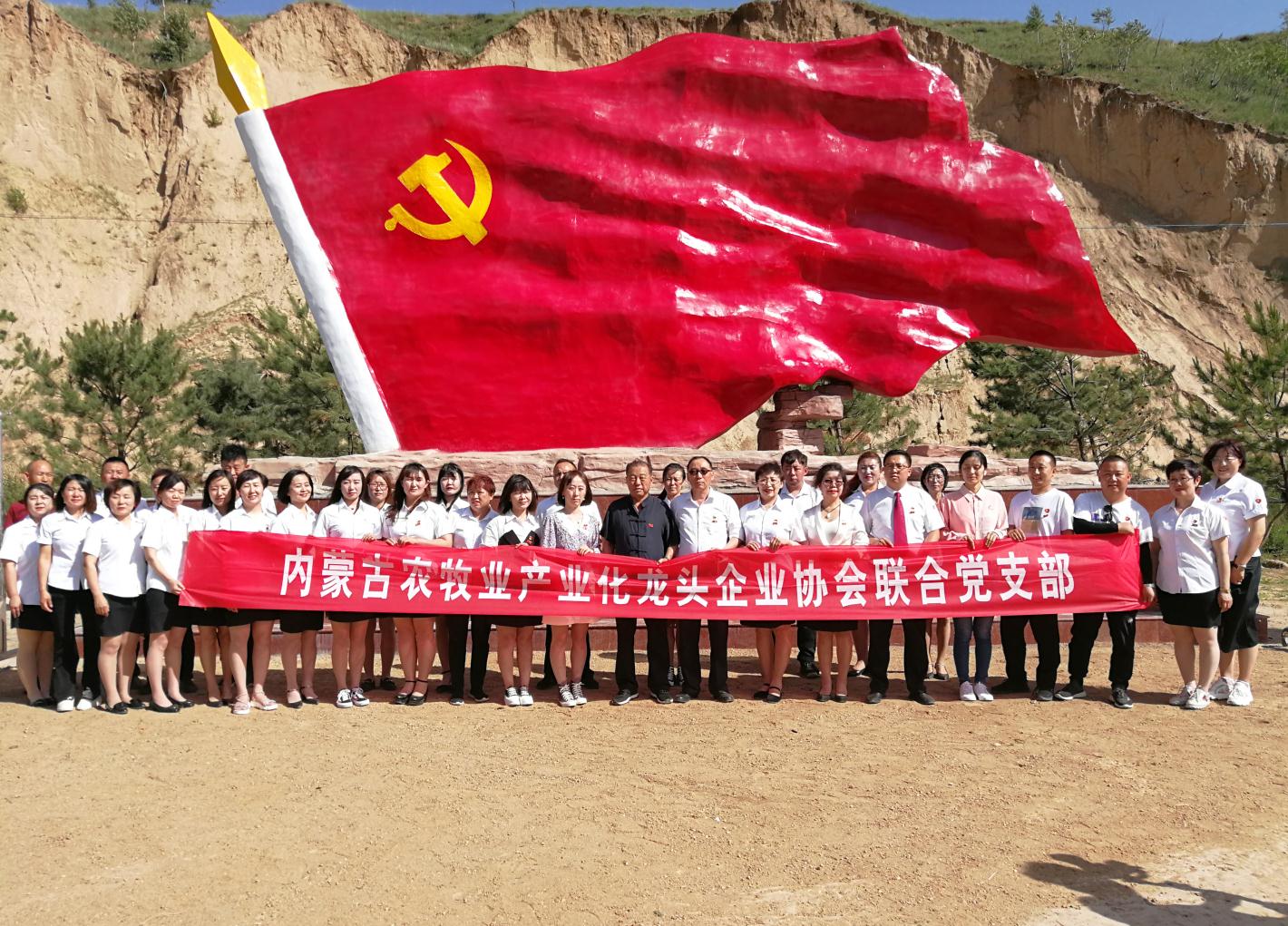 內(nèi)蒙古農(nóng)牧業(yè)產(chǎn)業(yè)化龍頭企業(yè)協(xié)會走進石人灣村開展“辦實事、解難題，送溫暖，傳黨恩”公益活動